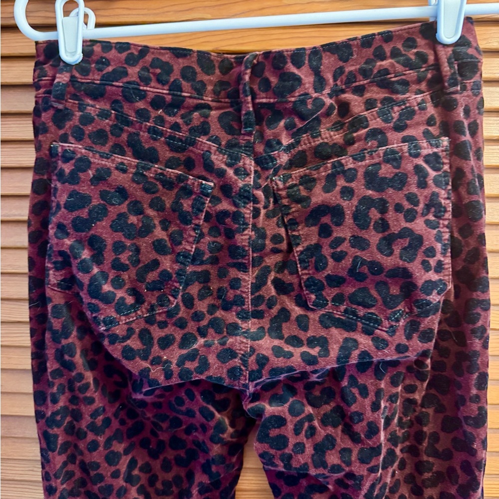 Red Leopard-print Straight Velvet Pants - Picture 3 of 5
